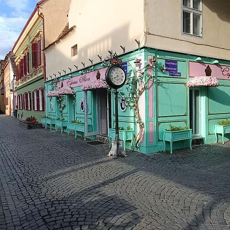 Old Town Cozy Nest Apartment Сибиу Екстериор снимка