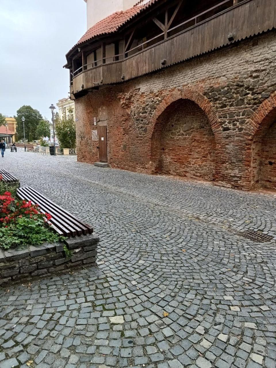 Old Town Cozy Nest Apartment Сибиу Екстериор снимка