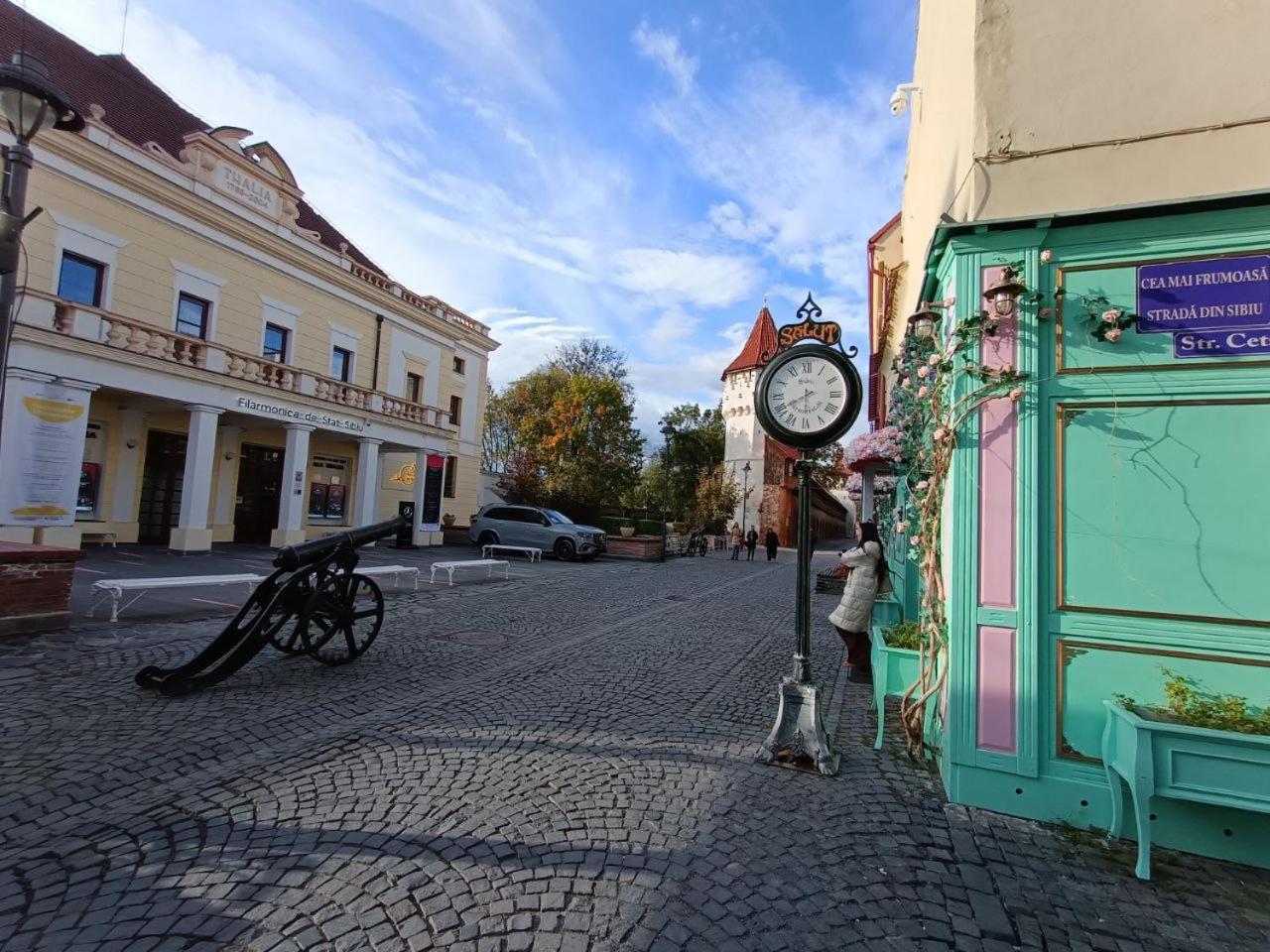 Old Town Cozy Nest Apartment Сибиу Екстериор снимка