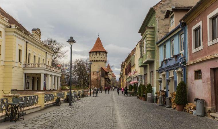 Old Town Cozy Nest Apartment Сибиу Екстериор снимка