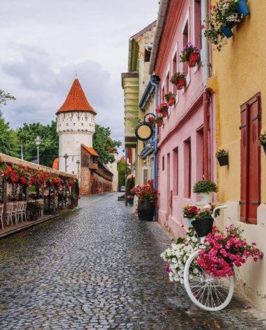 Old Town Cozy Nest Apartment Сибиу Екстериор снимка